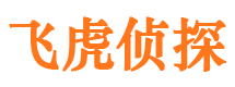 市中市侦探公司